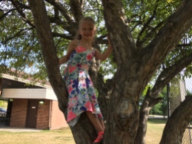 Adele climbing a tree at our family picnic moments before that crooked front tooth came out